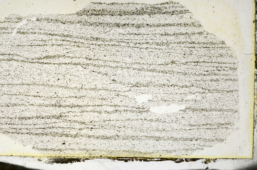 Plane Polarized, S87289
