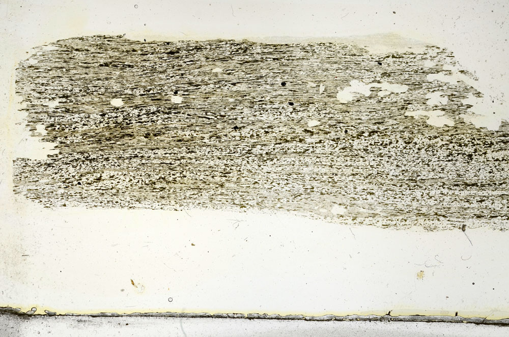 Plane Polarized, S87291