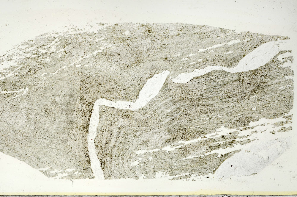 Plane Polarized, S87294