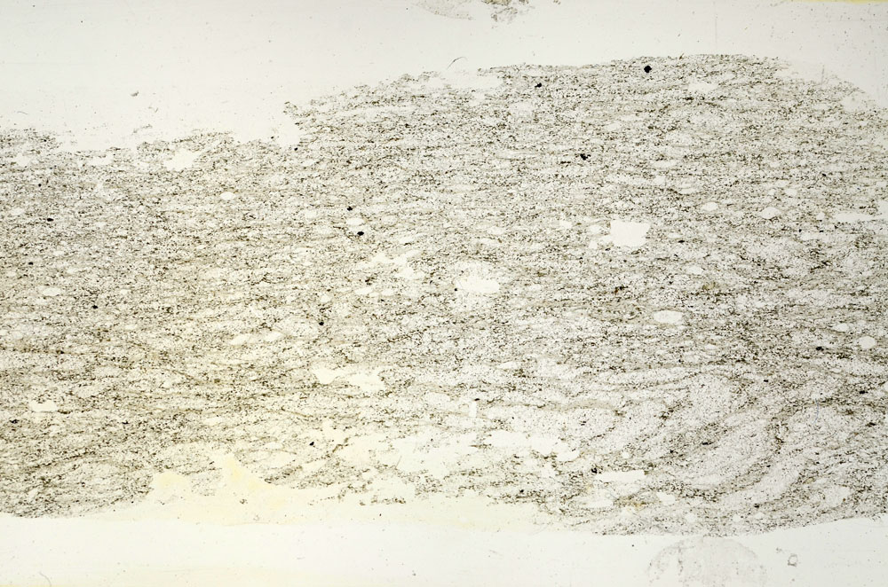 Plane Polarized, S87297/A