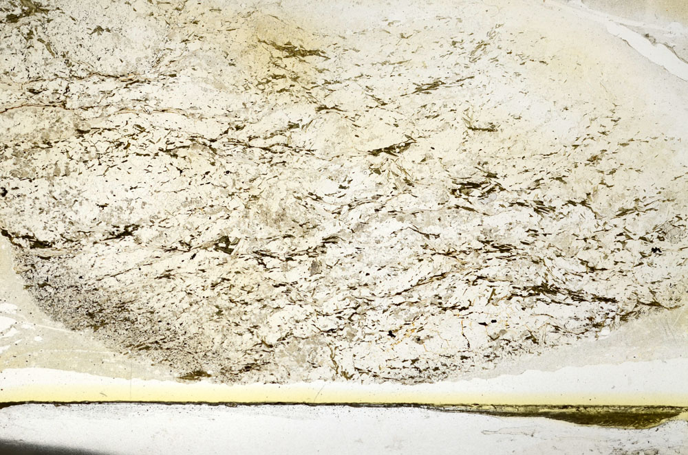 Plane Polarized, S87304