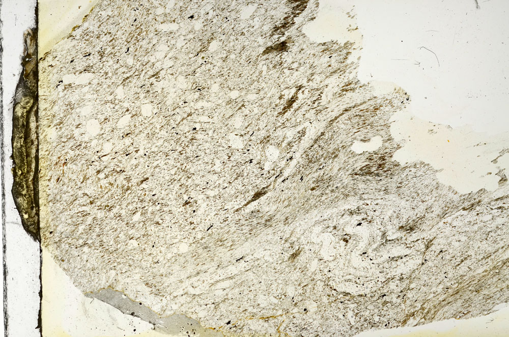 Plane Polarized, S87308