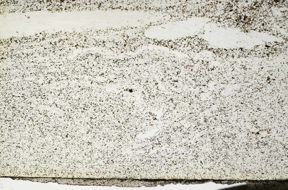 Plane Polarized, S87314