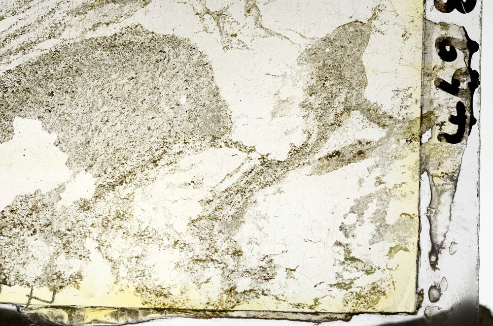 Plane Polarized, S87317