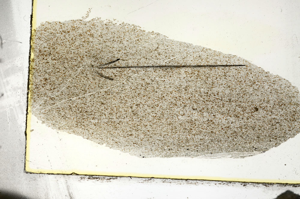 Plane Polarized, S87337