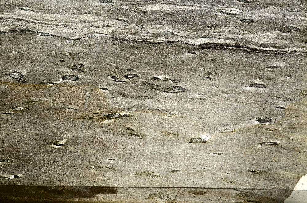 Plane Polarized, S87344