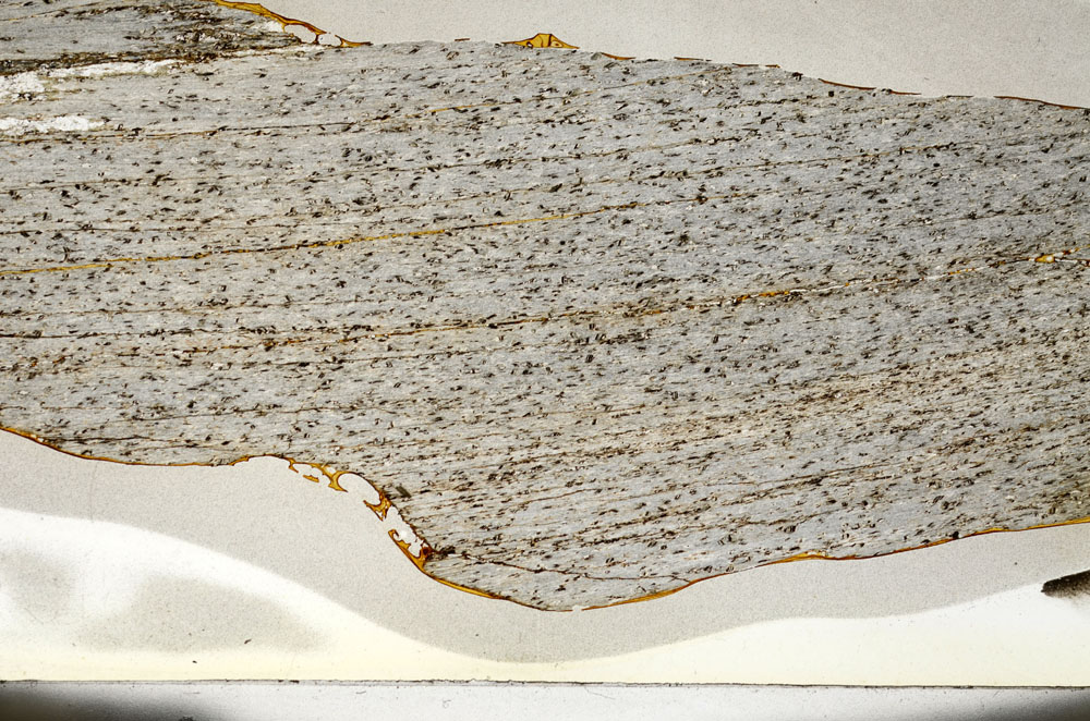 Plane Polarized, S87346