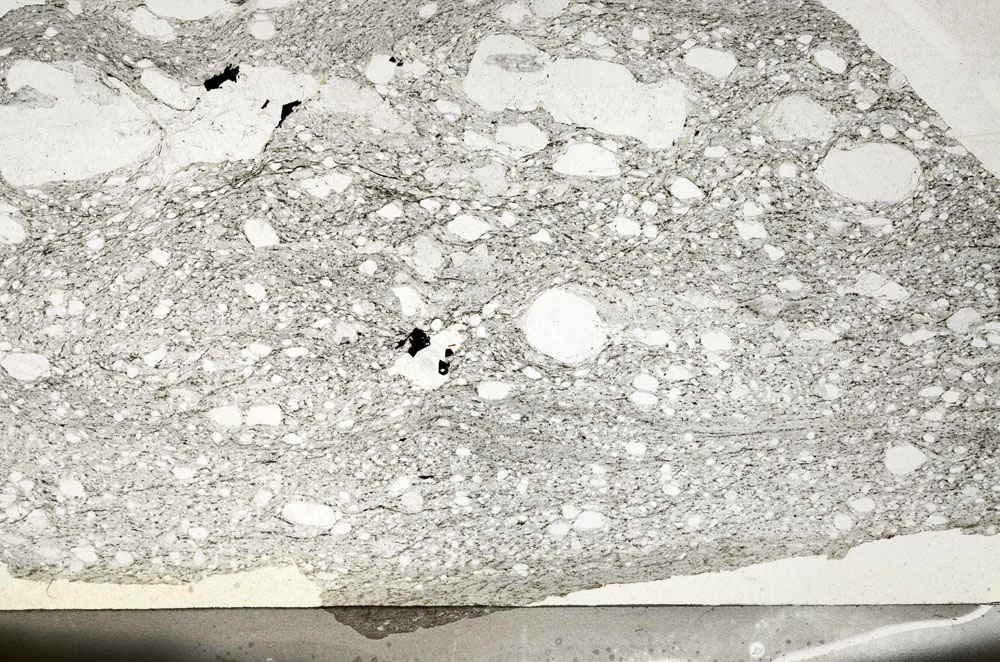 Plane Polarized, S87347