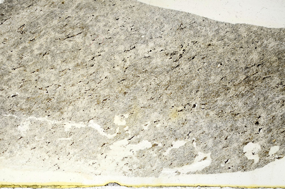 Plane Polarized, S87350