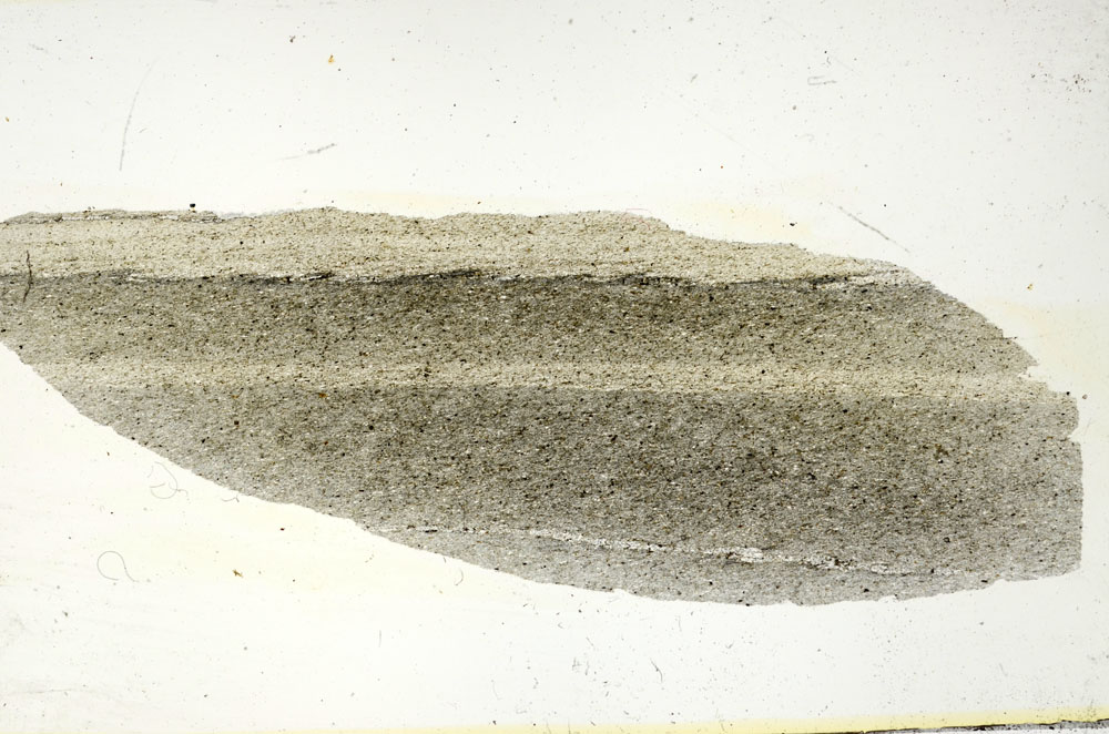 Plane Polarized, S87371
