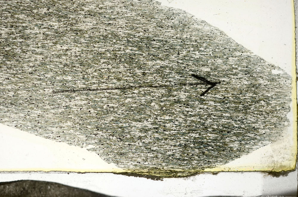 Plane Polarized, S87374