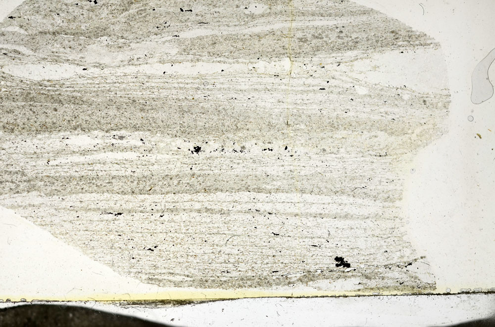 Plane Polarized, S87375