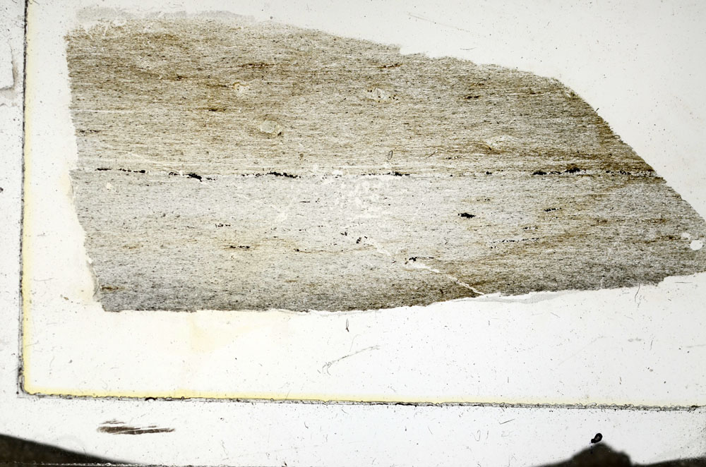 Plane Polarized, S87379