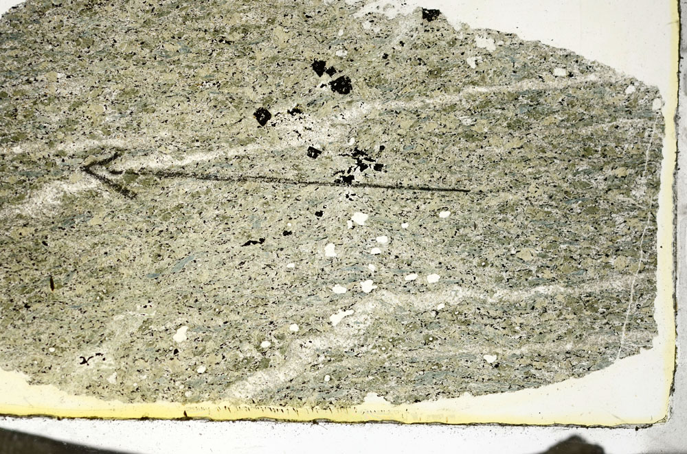 Plane Polarized, S87385