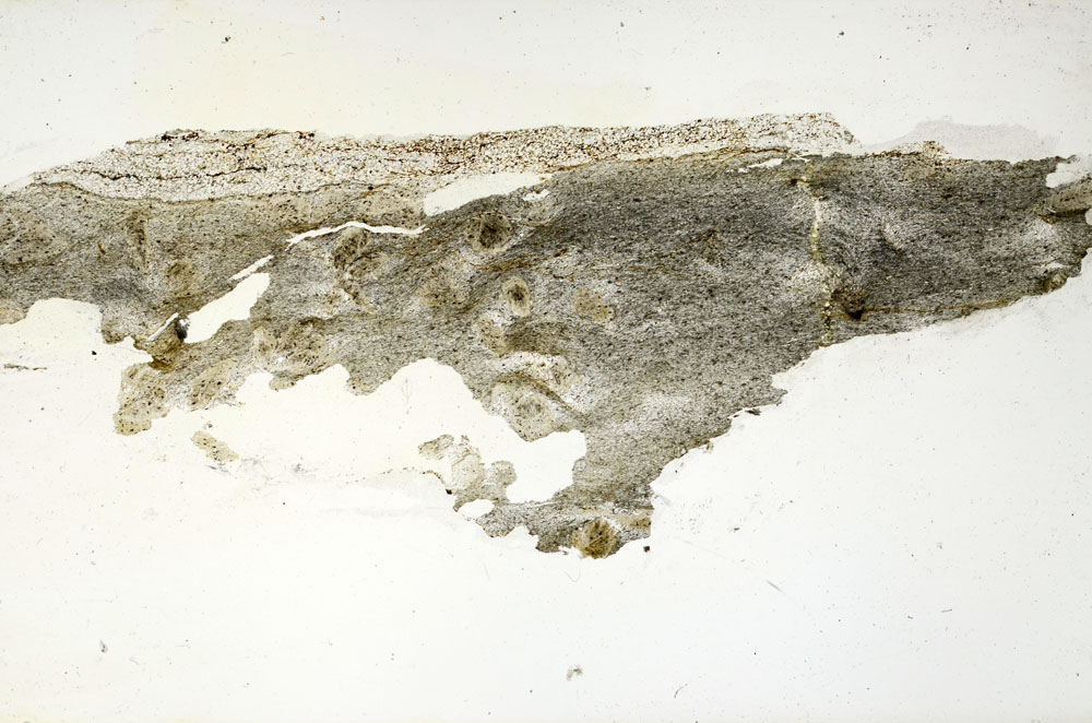 Plane Polarized, S87386