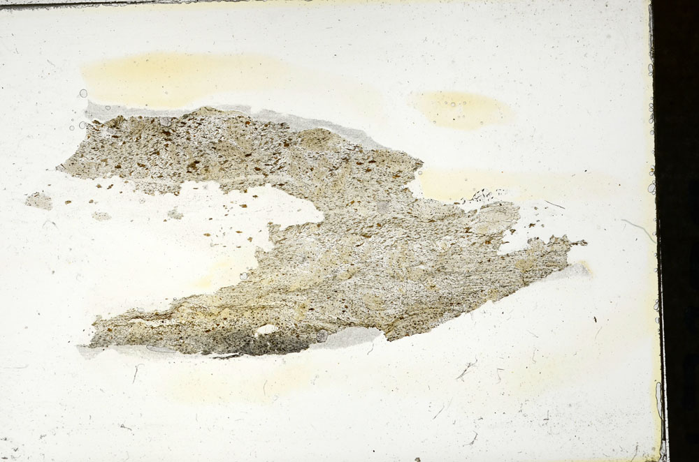 Plane Polarized, S87387