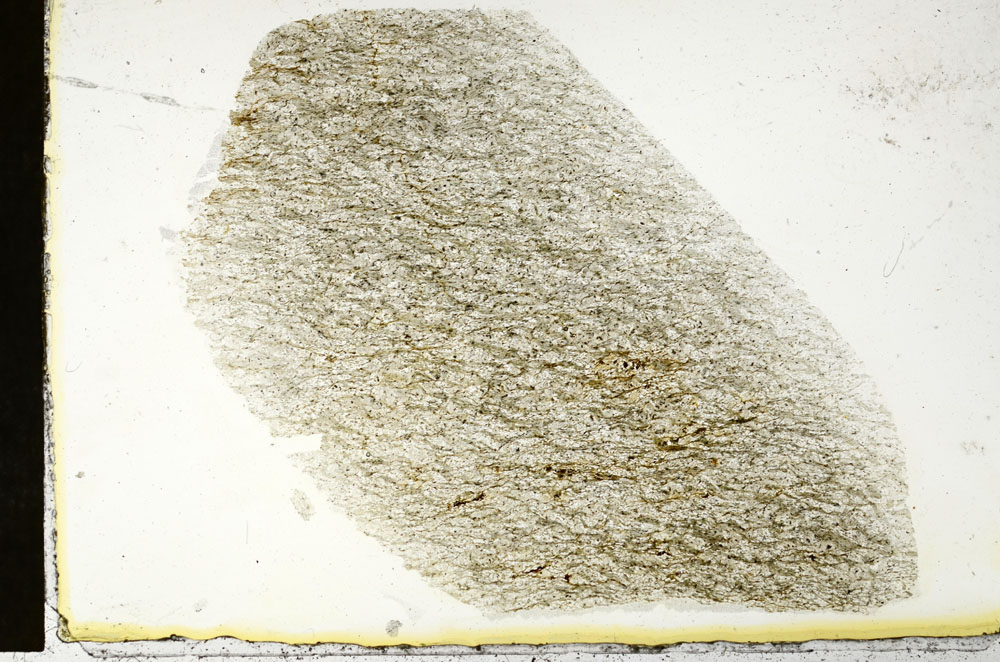 Plane Polarized, S87392