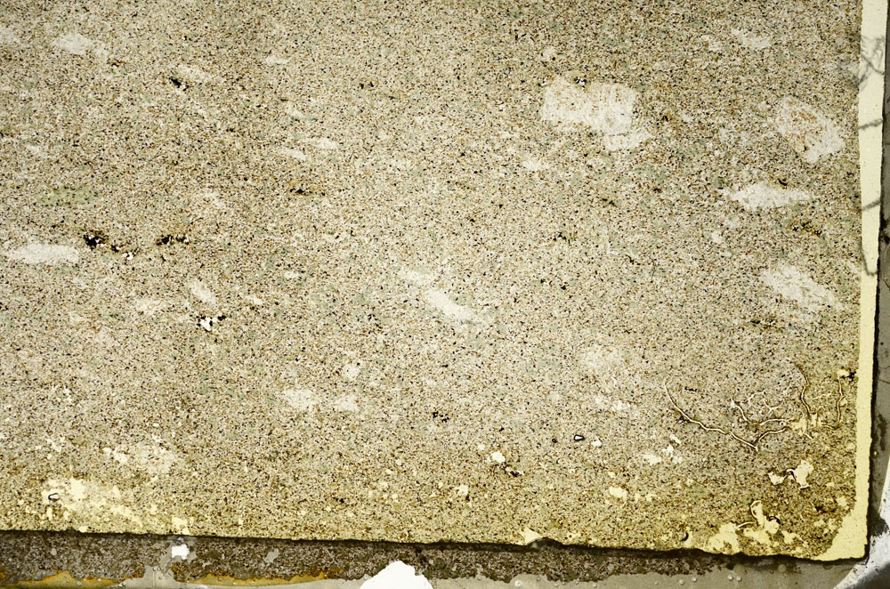 Plane Polarized, S87396
