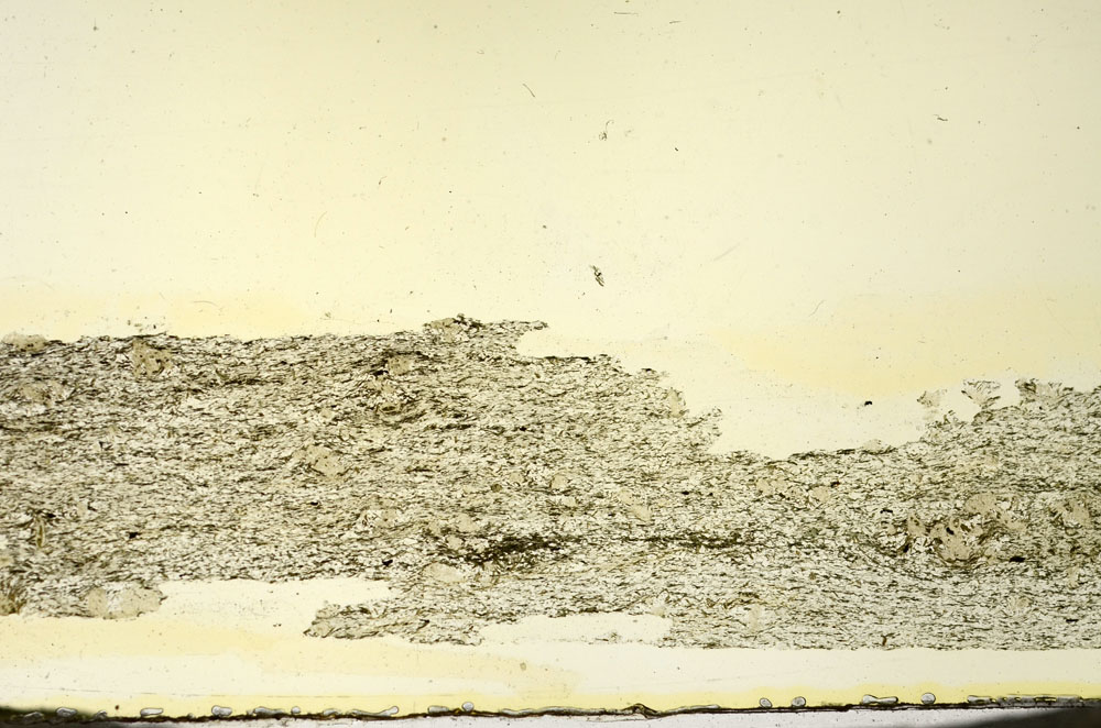 Plane Polarized, S87399