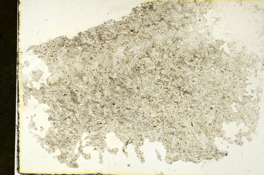 Plane Polarized, S87404