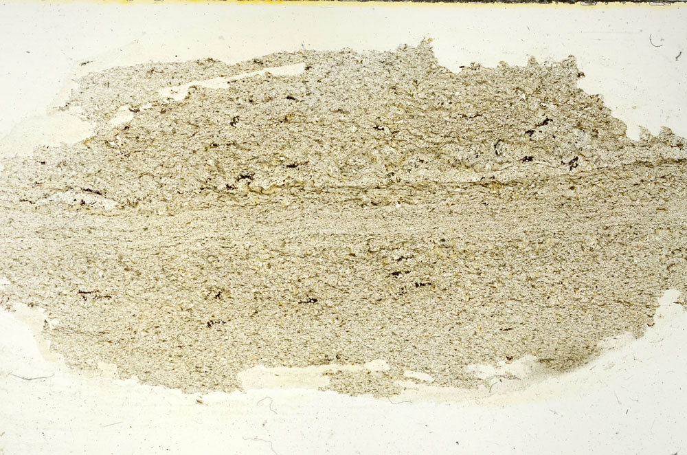 Plane Polarized, S87412