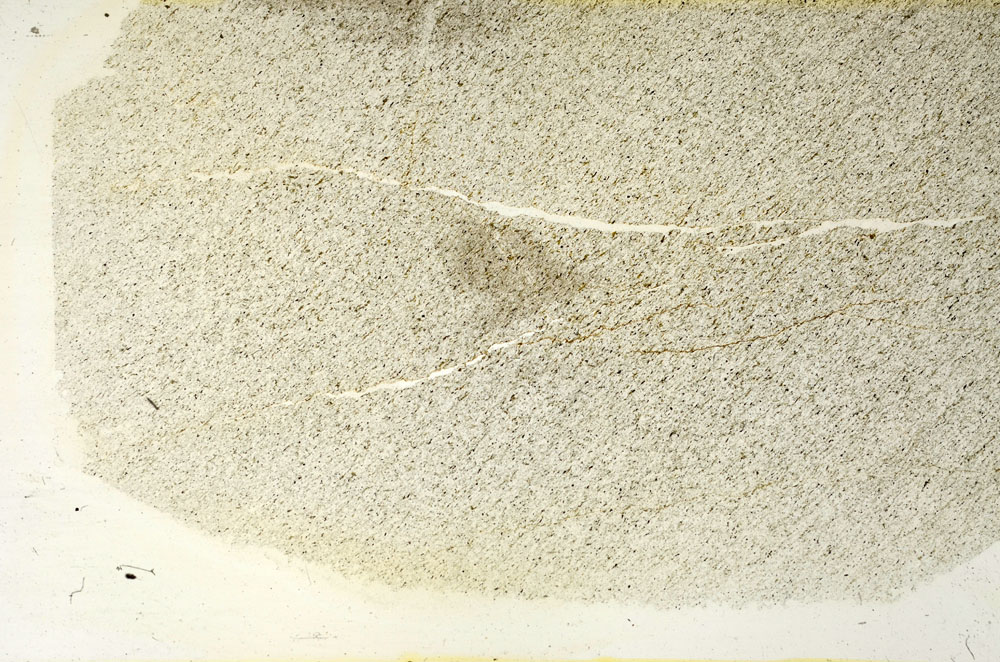 Plane Polarized, S87414