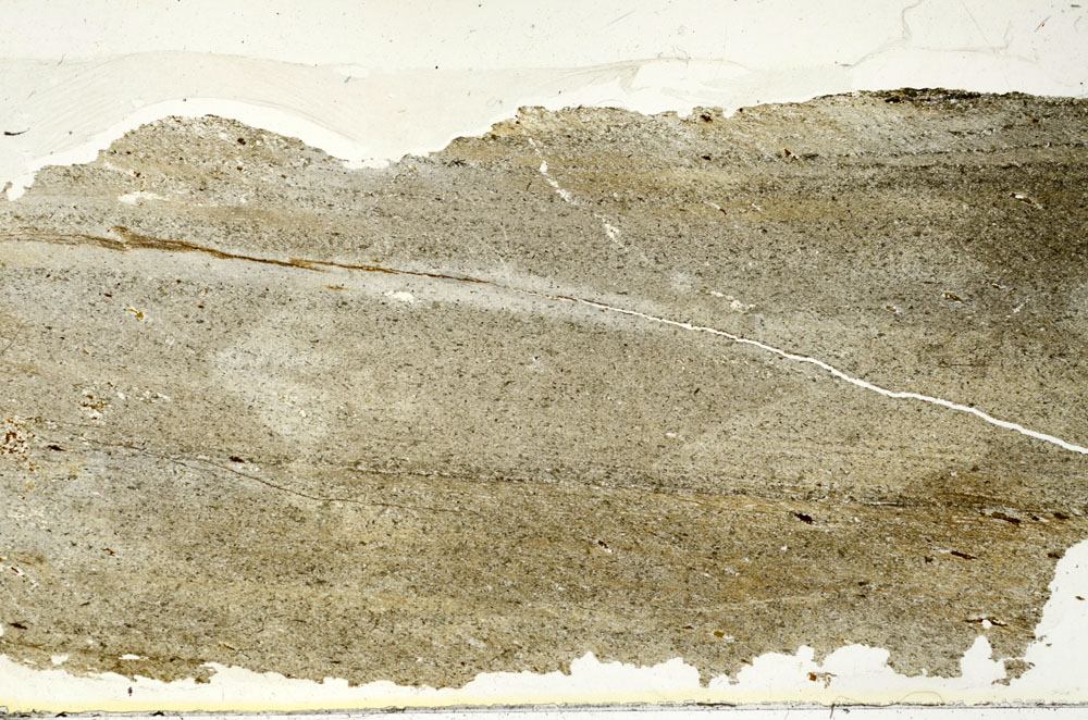 Plane Polarized, S87415