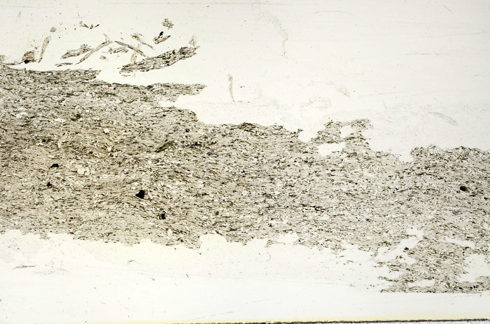 Plane Polarized, S87422