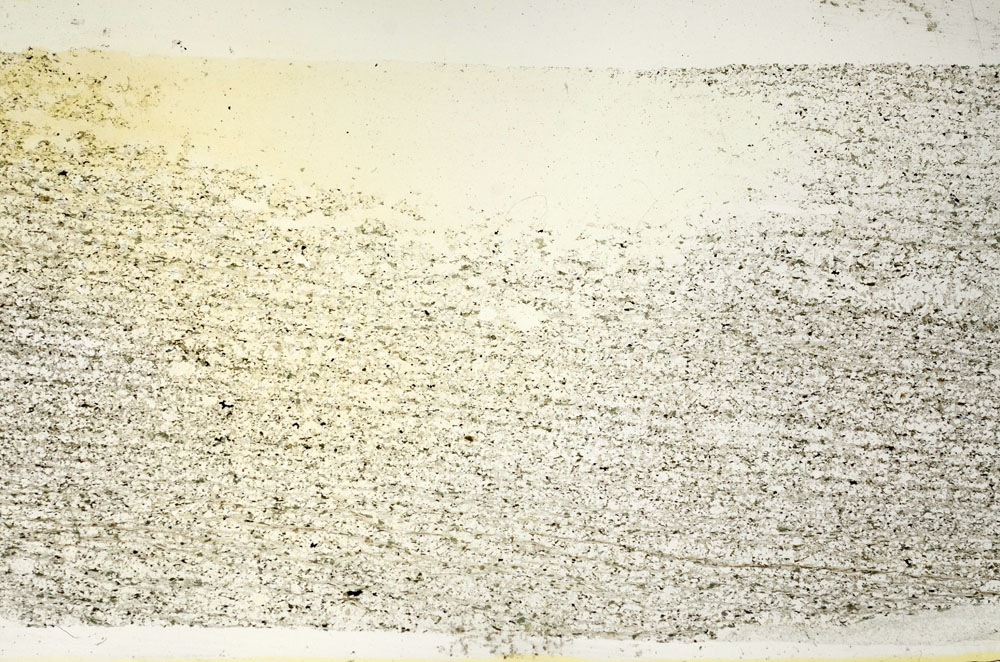 Plane Polarized, S87425