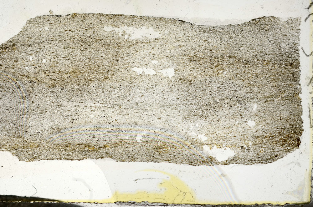 Plane Polarized, S87426