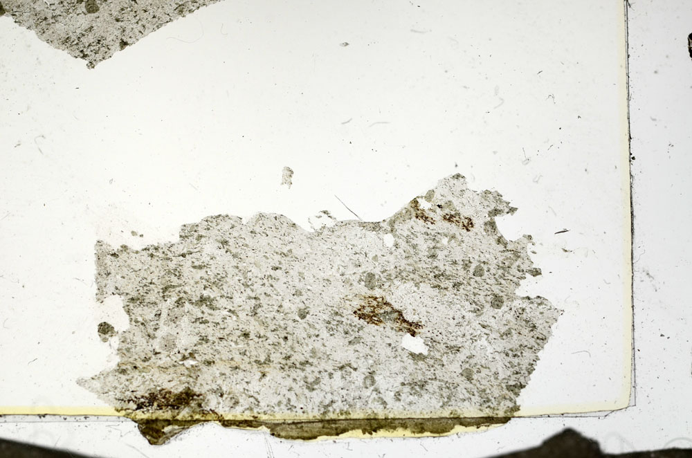 Plane Polarized, S87439