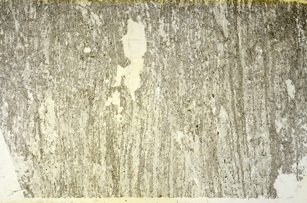 Plane Polarized, S87442