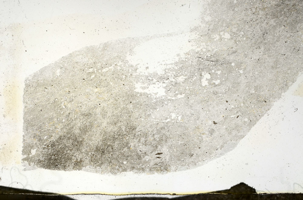 Plane Polarized, S87447
