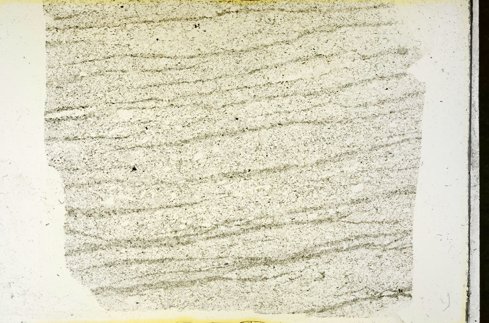 Plane Polarized, S87449