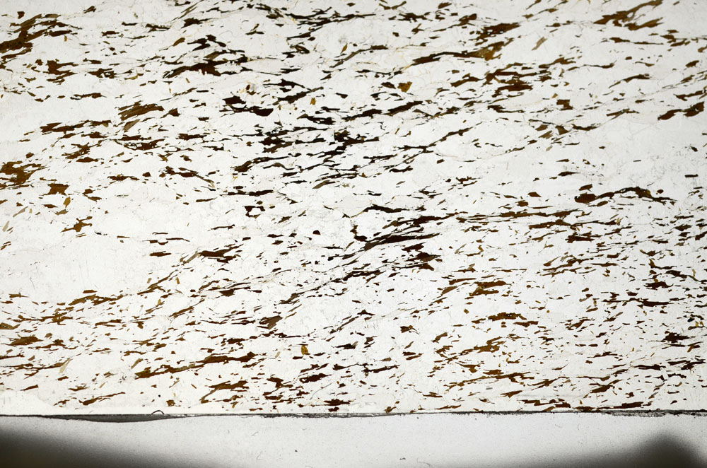 Plane Polarized, S87475
