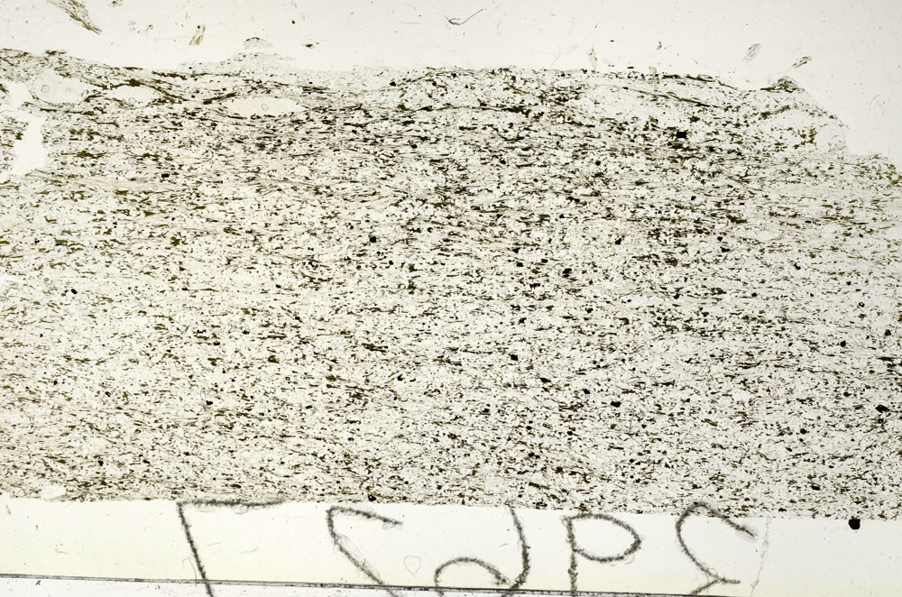 Plane Polarized, S87487