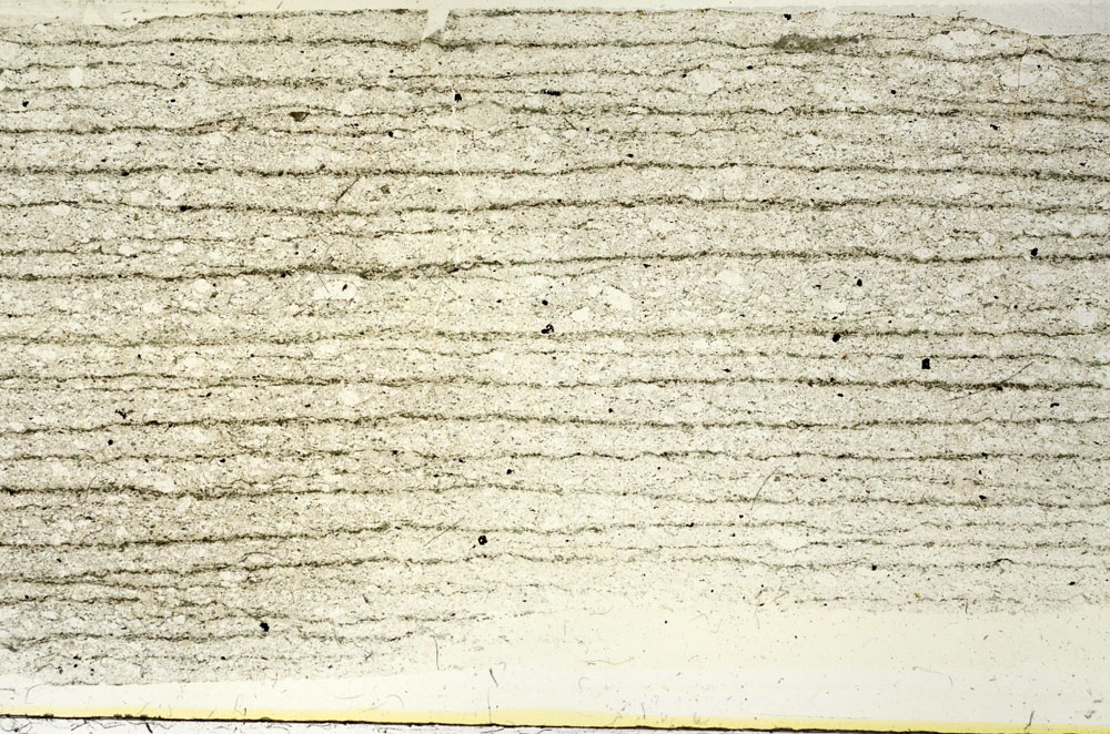 Plane Polarized, S87491