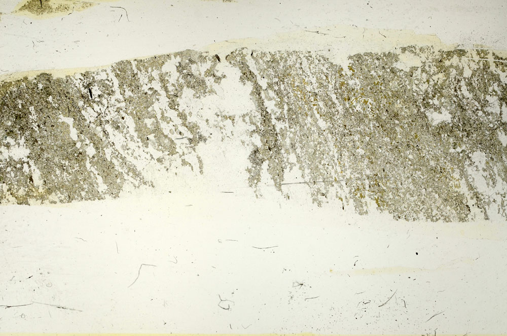 Plane Polarized, S87493