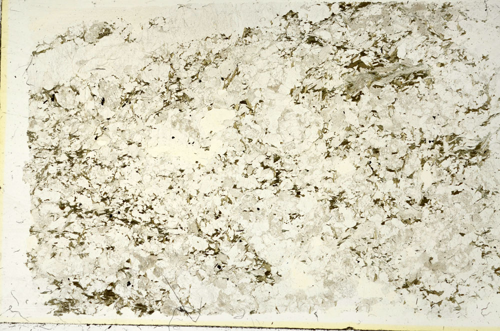 Plane Polarized, S87494