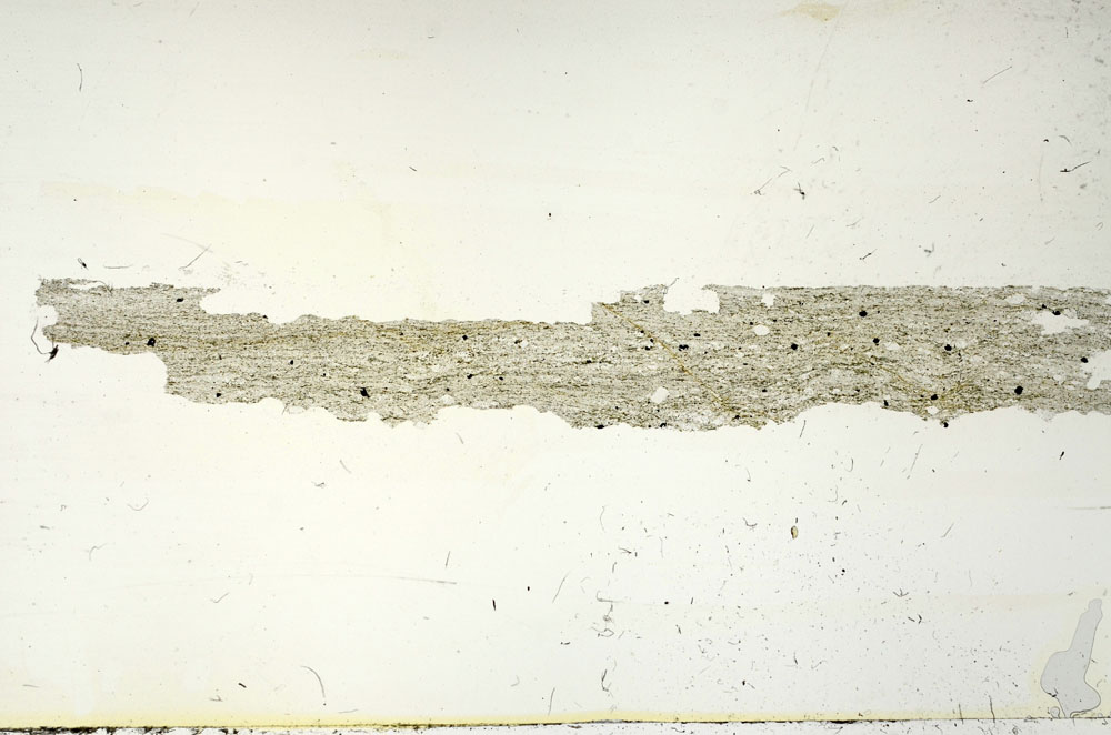 Plane Polarized, S87495