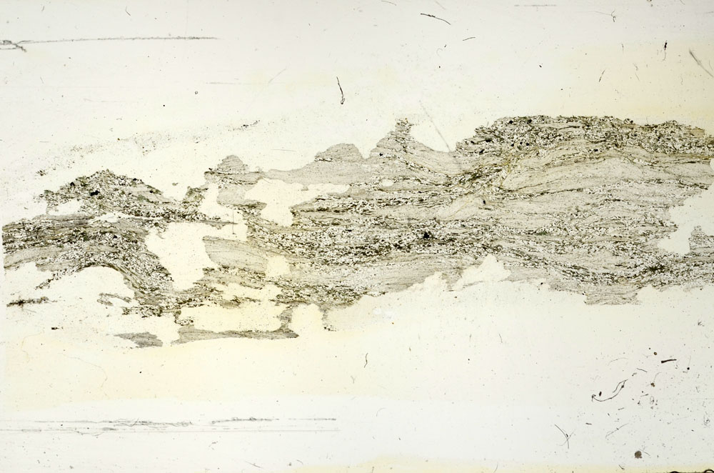 Plane Polarized, S87496