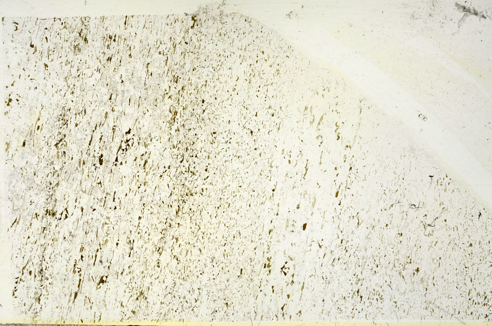Plane Polarized, S87501