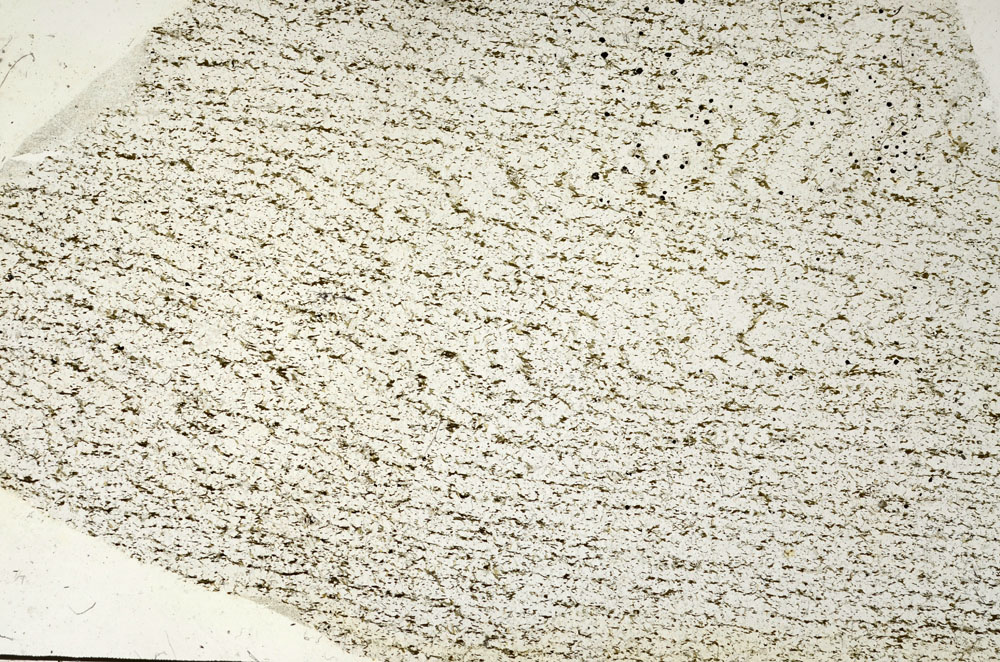 Plane Polarized, S87505