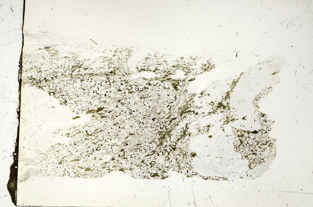 Plane Polarized, S87508