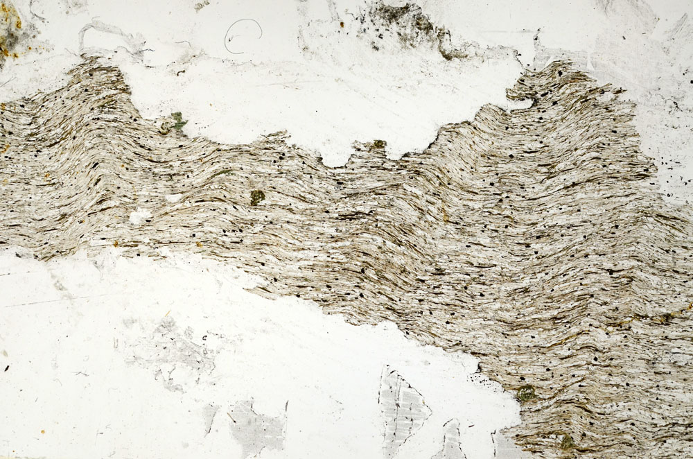 Plane Polarized, S87522