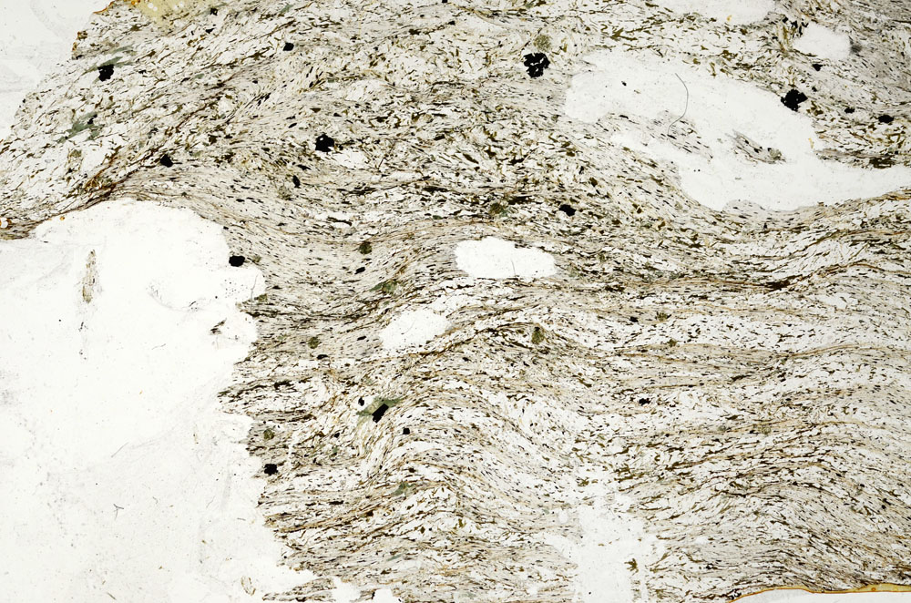 Plane Polarized, S87524