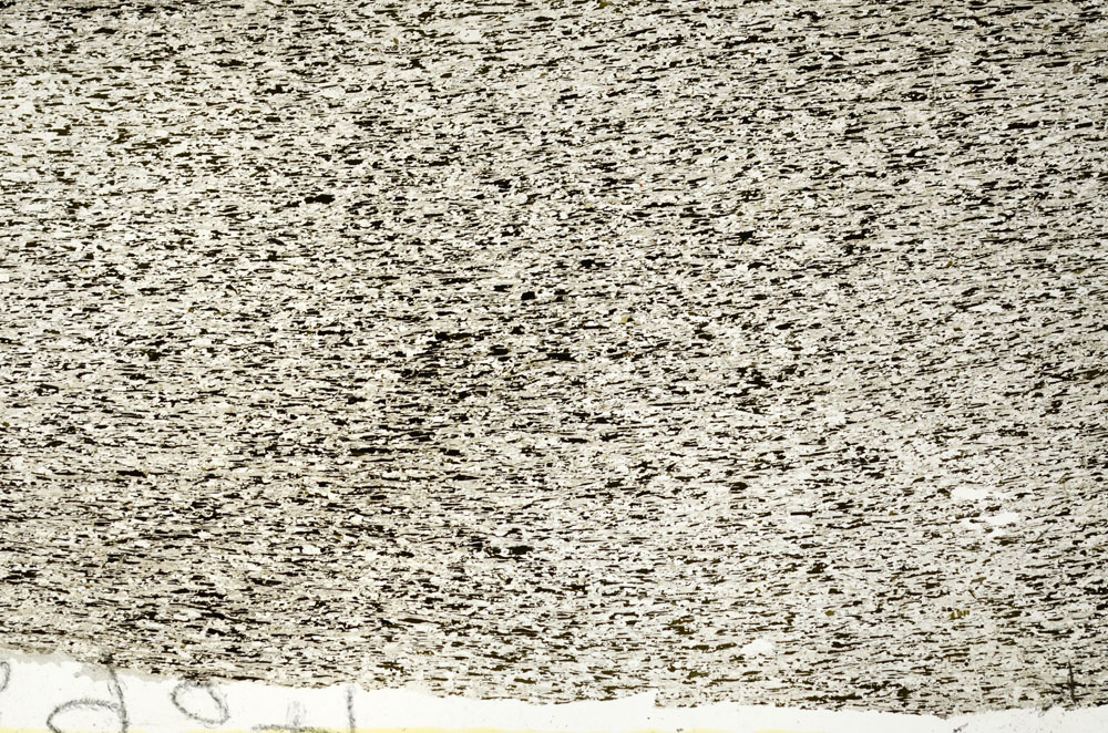 Plane Polarized, S87526