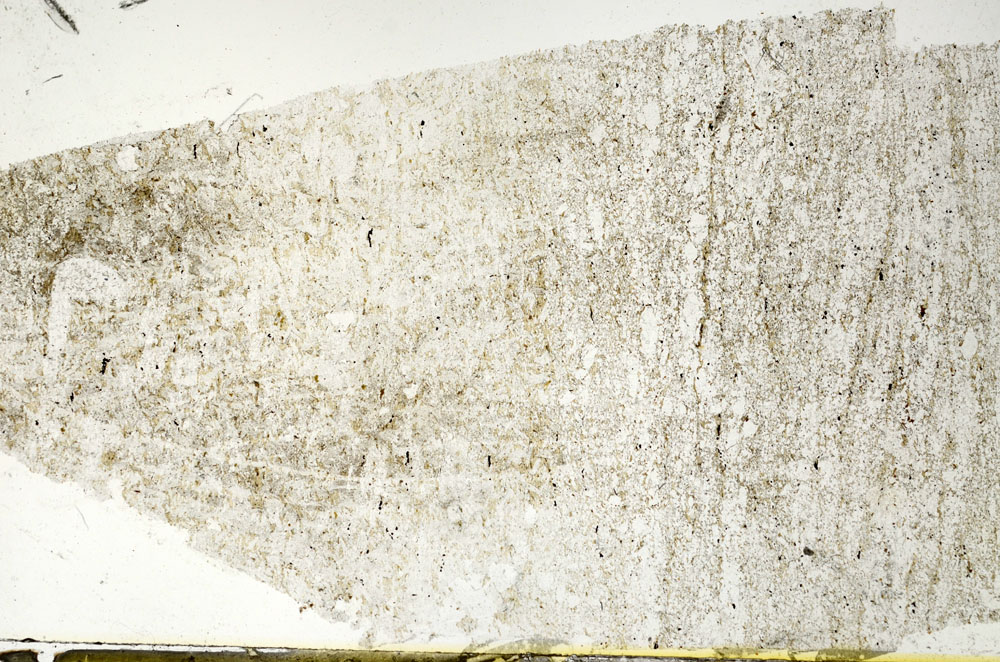 Plane Polarized, S87531