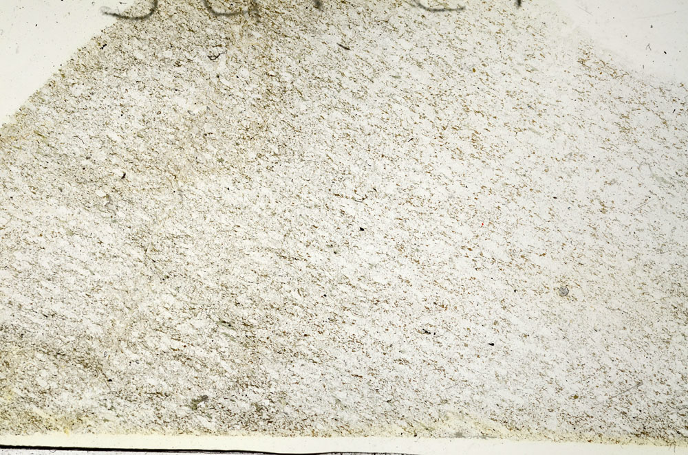 Plane Polarized, S87536