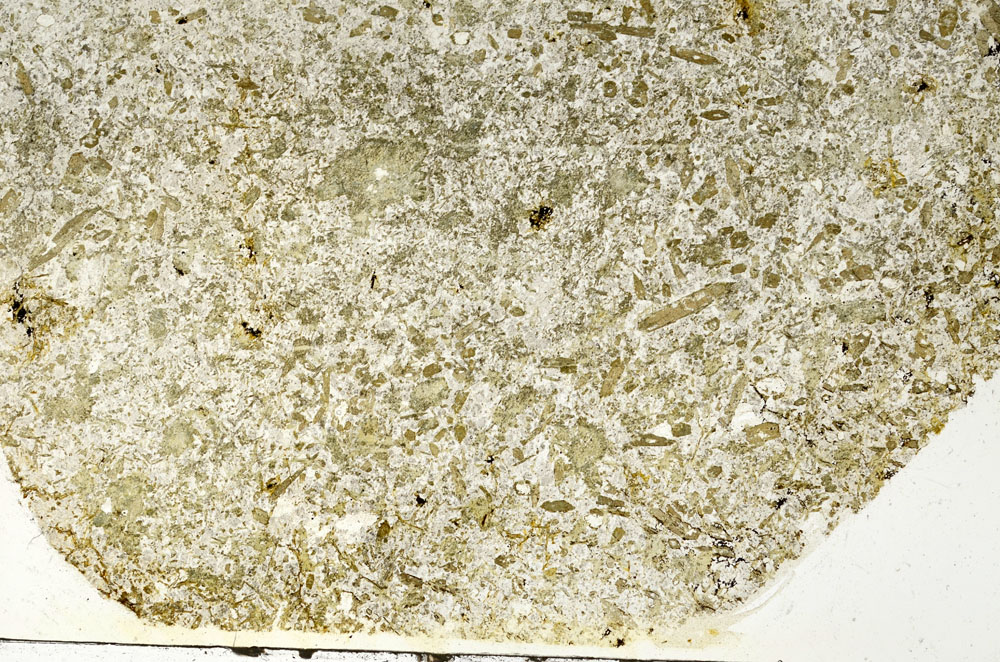 Plane Polarized, S87545